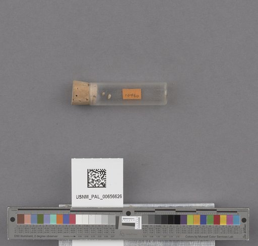 NSF ADBC EPICC TCN