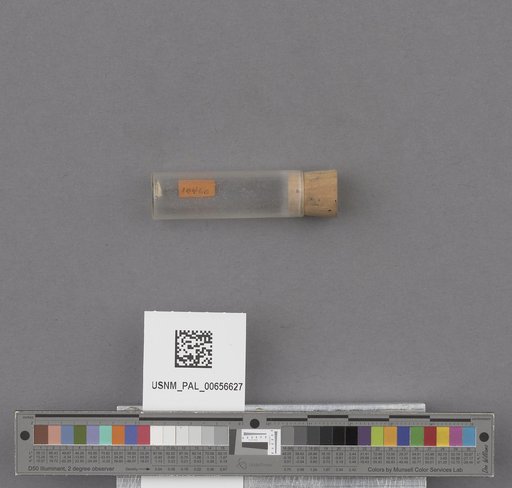 NSF ADBC EPICC TCN