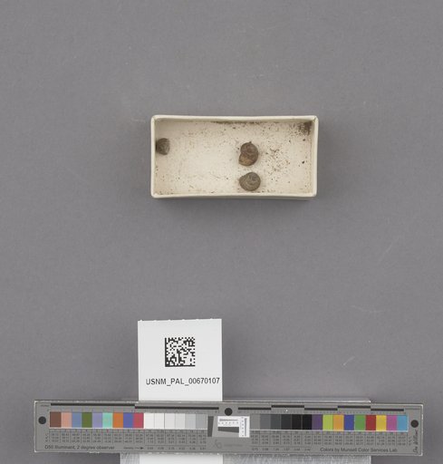 NSF ADBC EPICC TCN