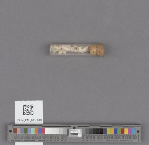 NSF ADBC EPICC TCN