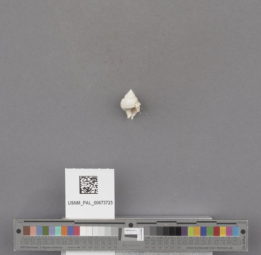 NSF ADBC EPICC TCN