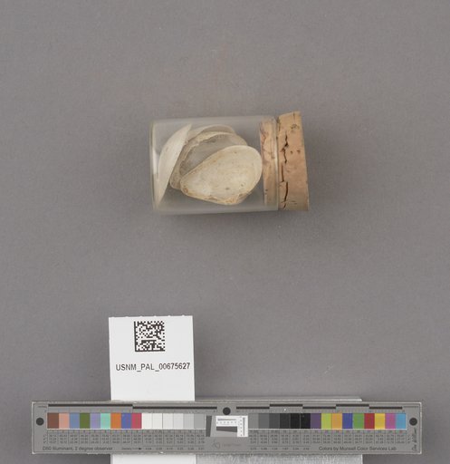 NSF ADBC EPICC TCN