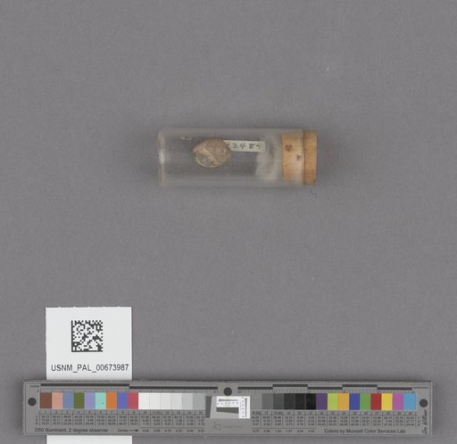 NSF ADBC EPICC TCN
