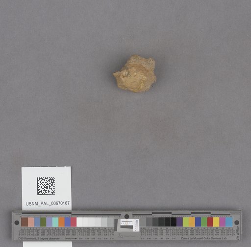 NSF ADBC EPICC TCN