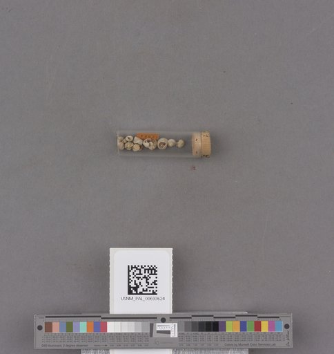 NSF ADBC EPICC TCN