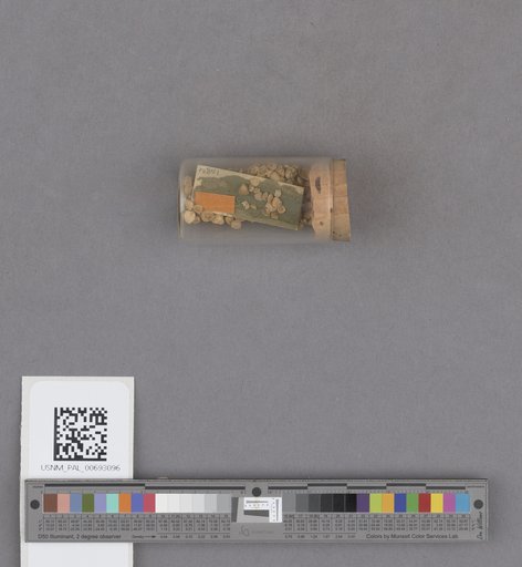 NSF ADBC EPICC TCN