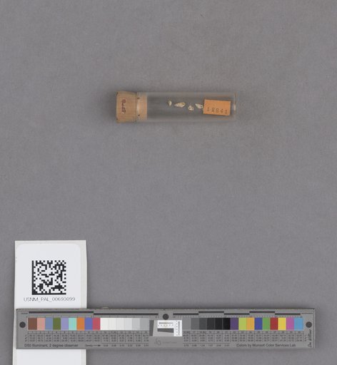 NSF ADBC EPICC TCN