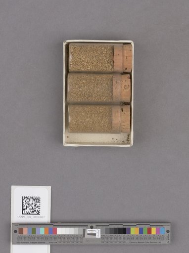 NSF ADBC EPICC TCN