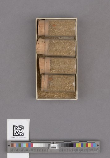 NSF ADBC EPICC TCN