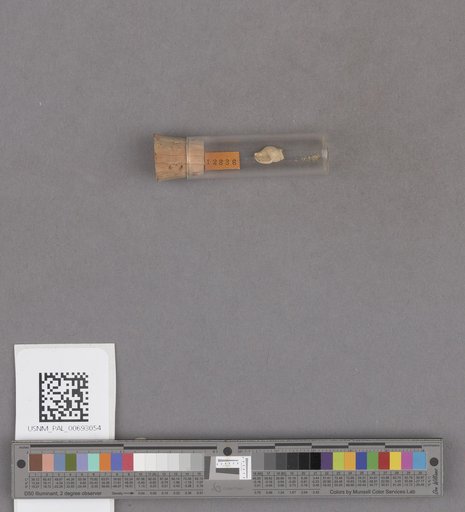 NSF ADBC EPICC TCN