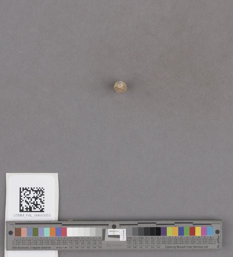 NSF ADBC EPICC TCN