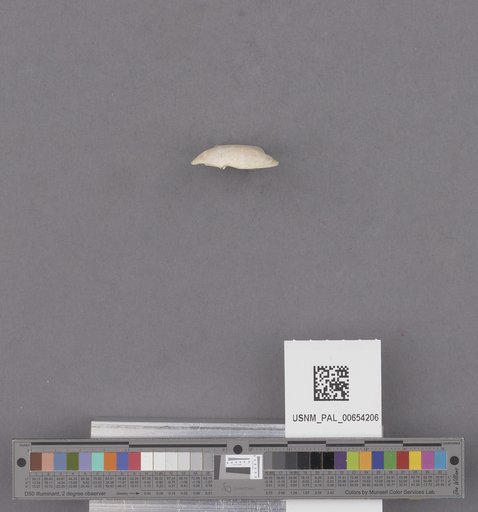 NSF ADBC EPICC TCN