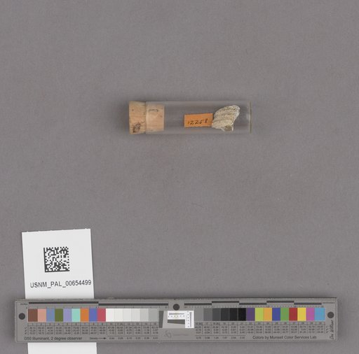 NSF ADBC EPICC TCN