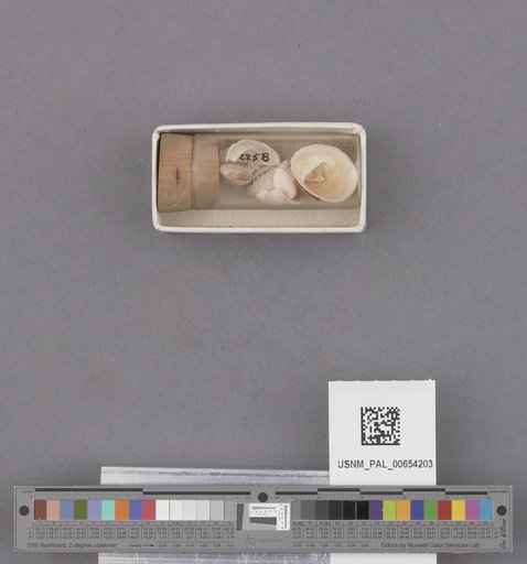 NSF ADBC EPICC TCN