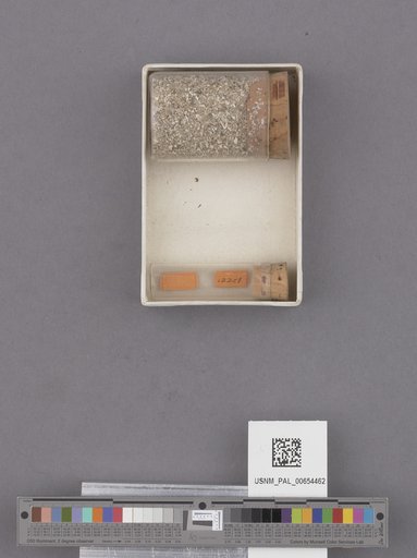 NSF ADBC EPICC TCN