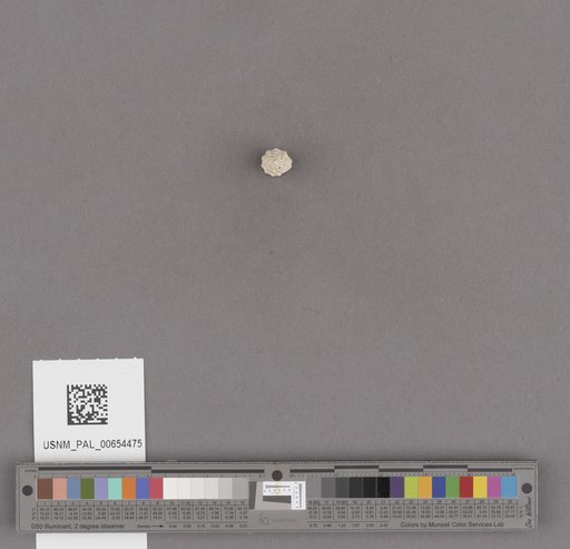 NSF ADBC EPICC TCN