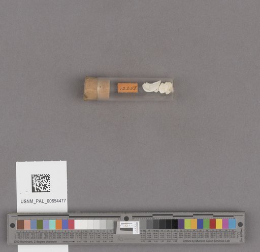 NSF ADBC EPICC TCN