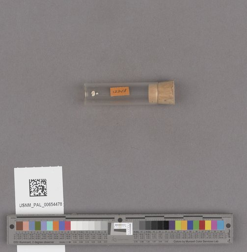 NSF ADBC EPICC TCN