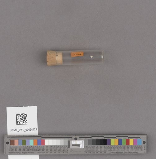 NSF ADBC EPICC TCN