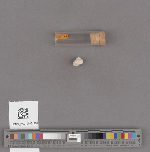 NSF ADBC EPICC TCN