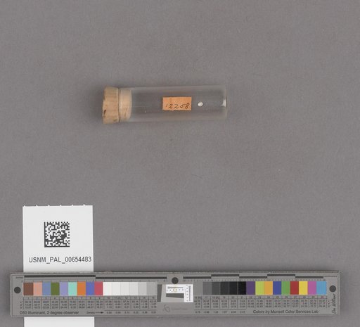NSF ADBC EPICC TCN