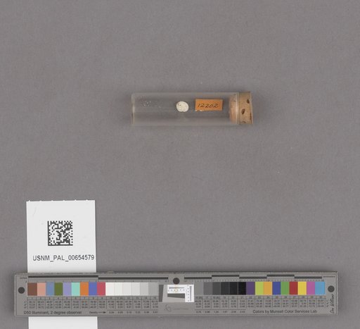 NSF ADBC EPICC TCN