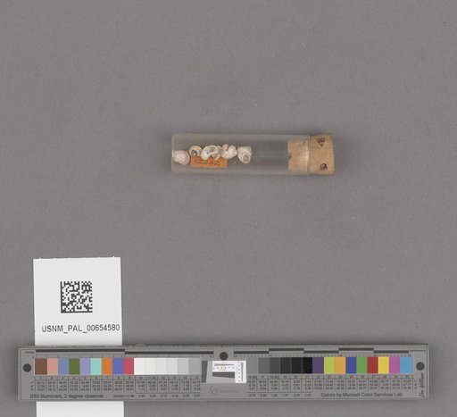 NSF ADBC EPICC TCN