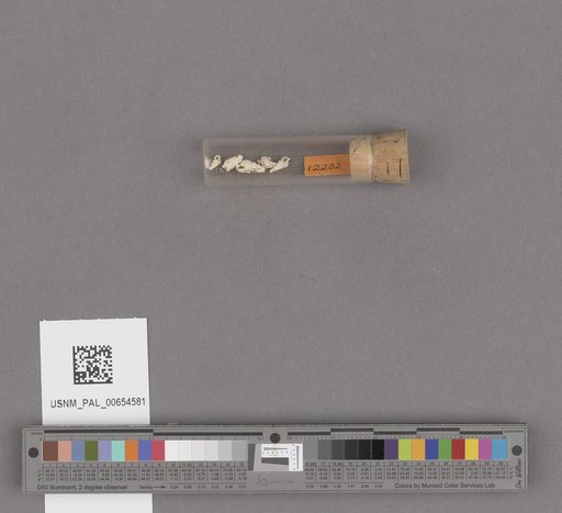 NSF ADBC EPICC TCN