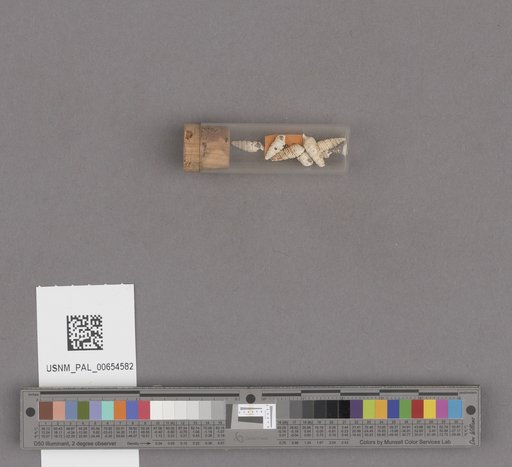 NSF ADBC EPICC TCN