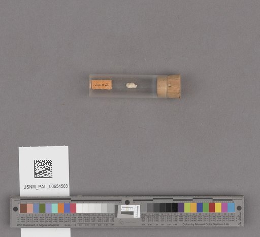 NSF ADBC EPICC TCN