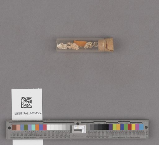 NSF ADBC EPICC TCN