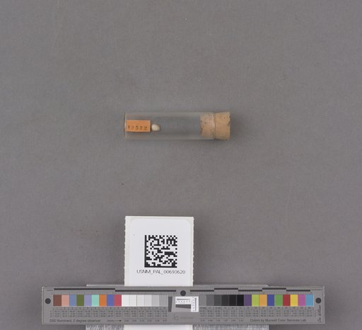 NSF ADBC EPICC TCN