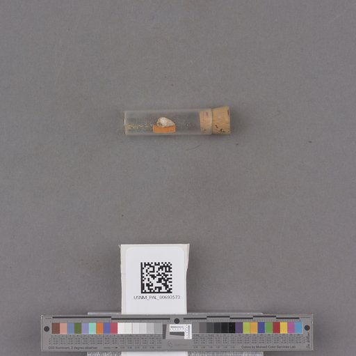 NSF ADBC EPICC TCN