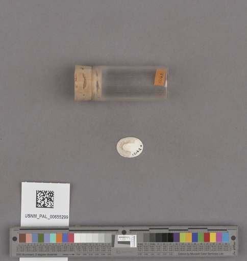 NSF ADBC EPICC TCN