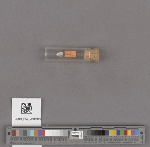 NSF ADBC EPICC TCN
