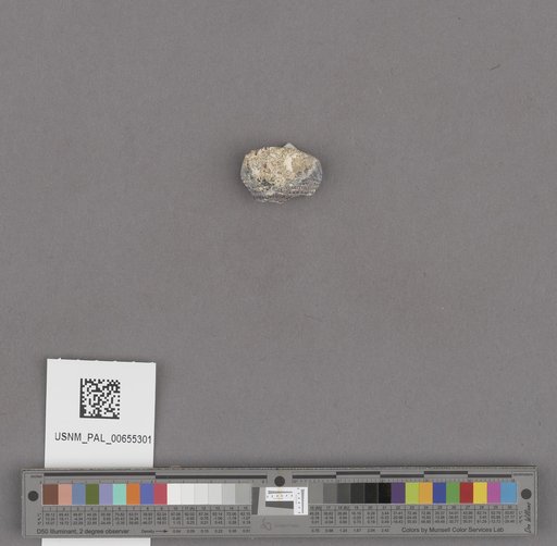 NSF ADBC EPICC TCN