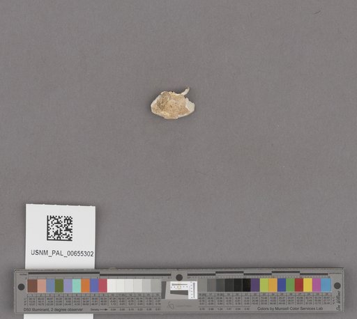 NSF ADBC EPICC TCN