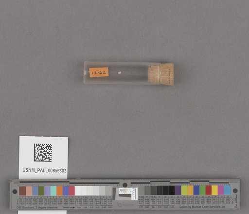 NSF ADBC EPICC TCN