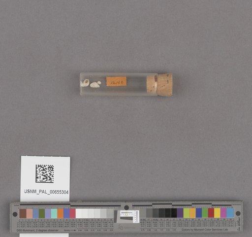 NSF ADBC EPICC TCN