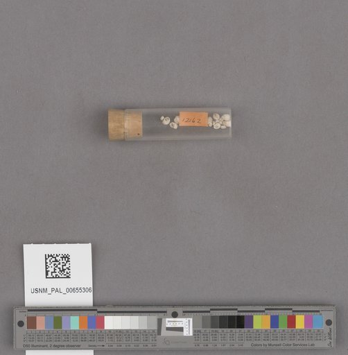 NSF ADBC EPICC TCN