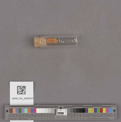 NSF ADBC EPICC TCN