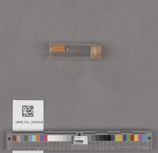 NSF ADBC EPICC TCN