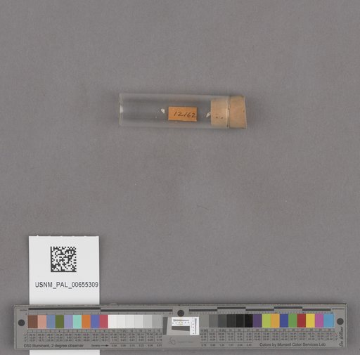 NSF ADBC EPICC TCN