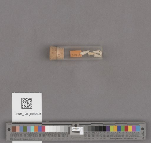 NSF ADBC EPICC TCN