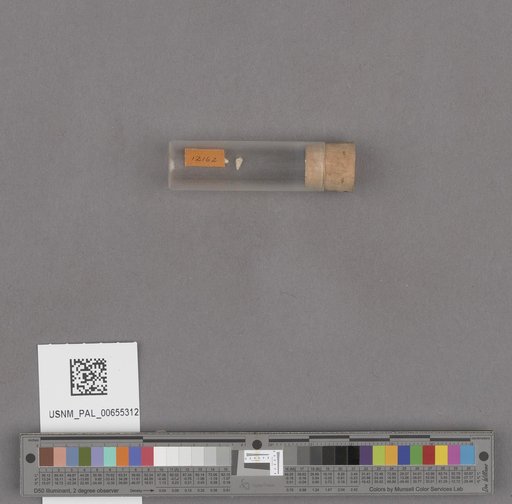NSF ADBC EPICC TCN