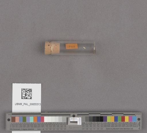 NSF ADBC EPICC TCN