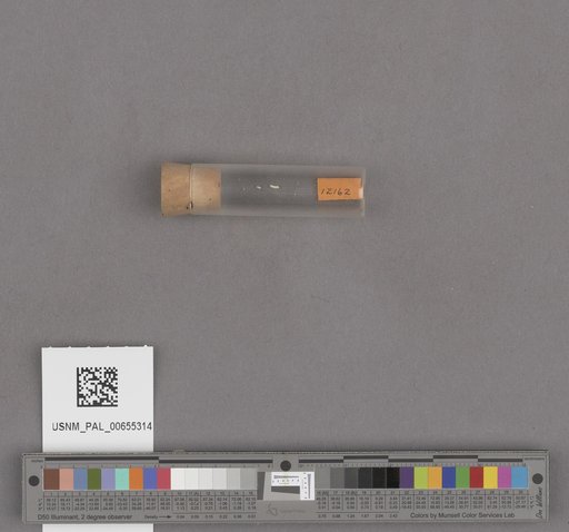 NSF ADBC EPICC TCN