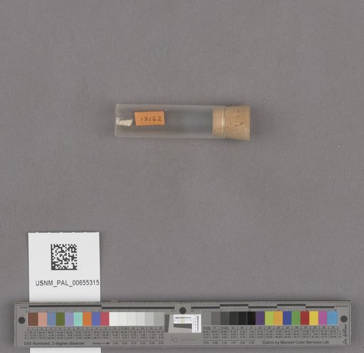 NSF ADBC EPICC TCN