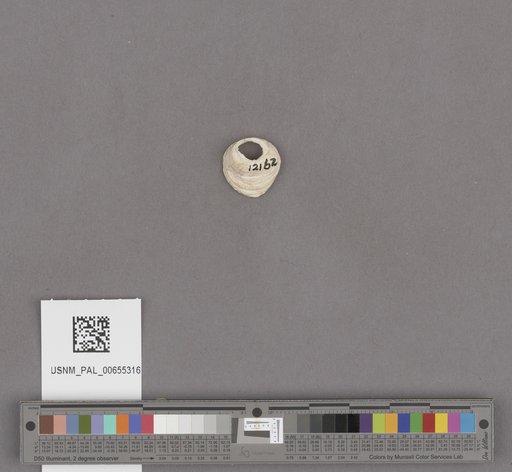 NSF ADBC EPICC TCN