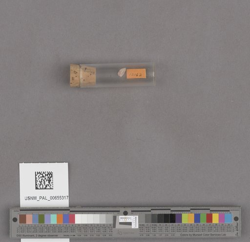 NSF ADBC EPICC TCN